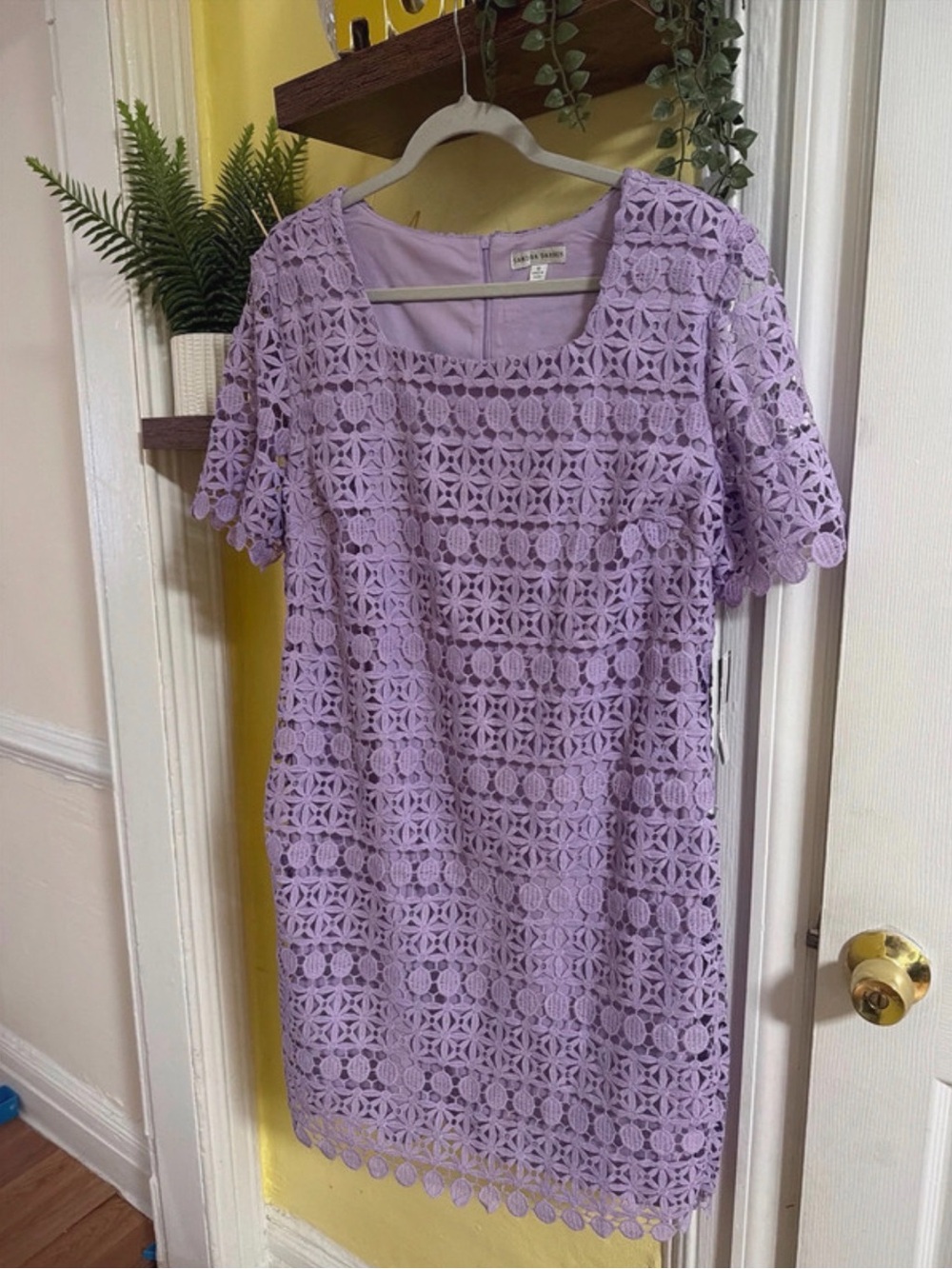 Sandra Darren Lavender Crochet Lace Shift Dress